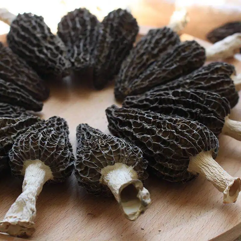 Best selling dried morchella mushroom morel