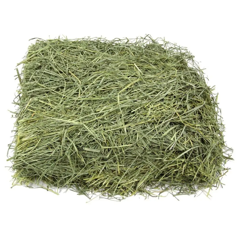 Alfalfa Hay in Bales For Animal Feed