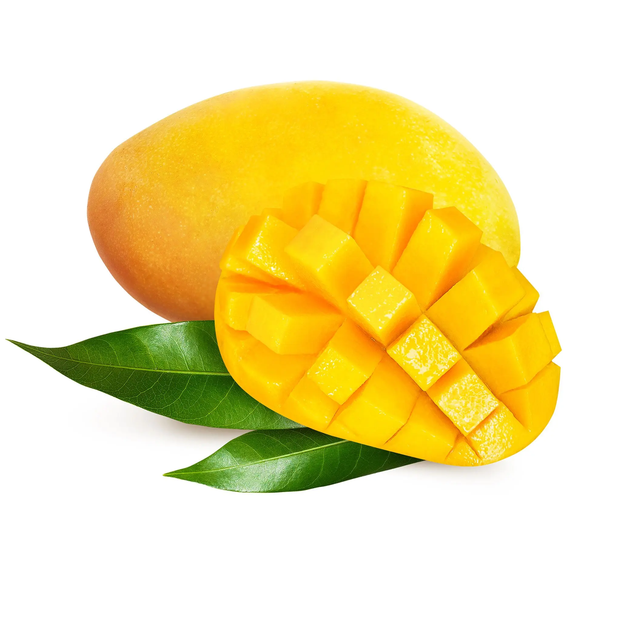 Top Grade Mangoes/Fresh Mango/Mango