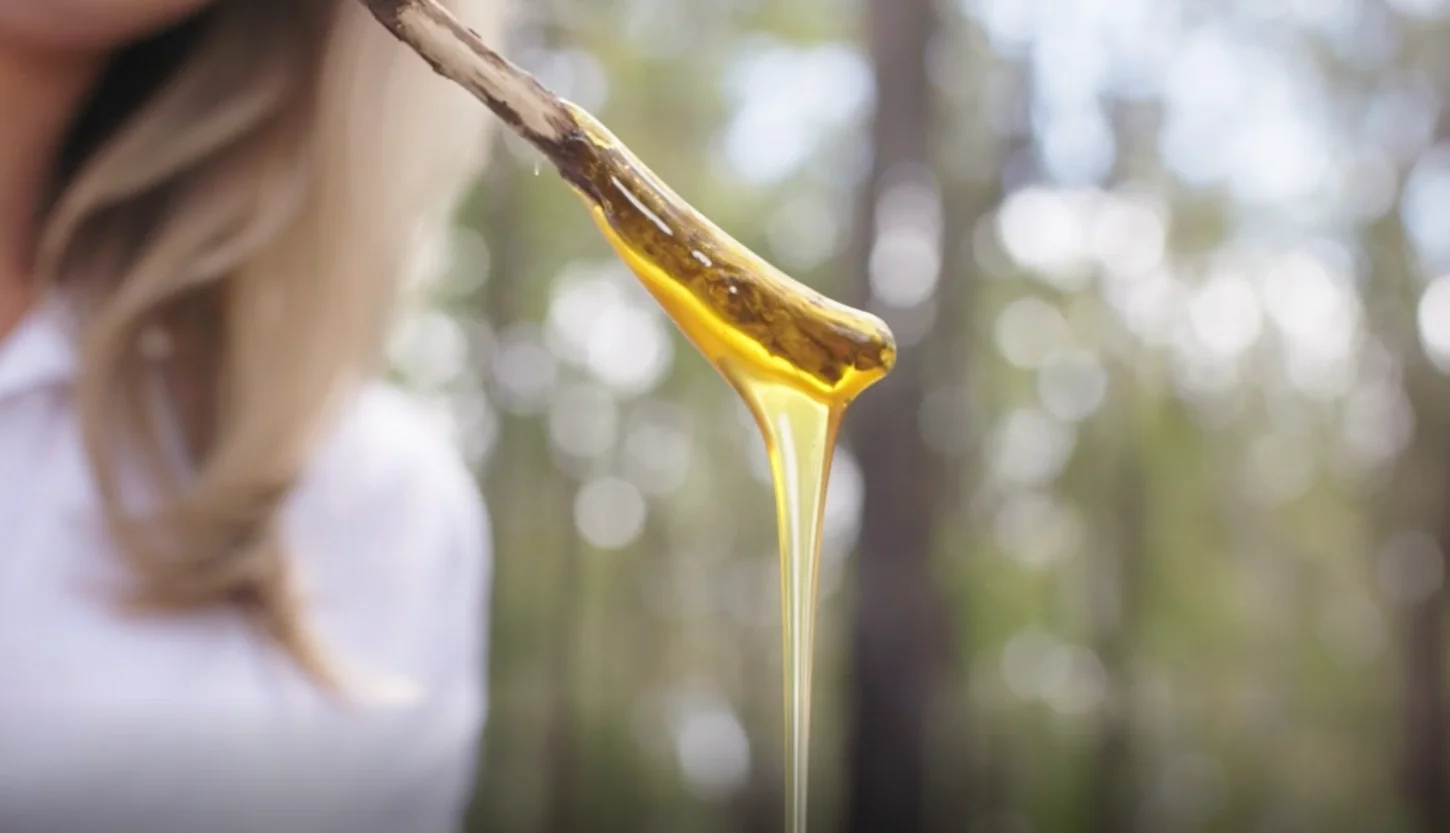 100% Pure 260g (No Additives) Premium Raw Honey TA35+ Jarrah Honey In Mason Jar Packaging