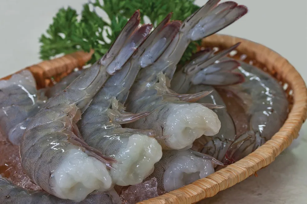 High quality Raw Vannamei Shrimp HLSO, Headless, Shell On Wholesale Frozen Seafood made in Vietnam Shrimp ready to ship, export