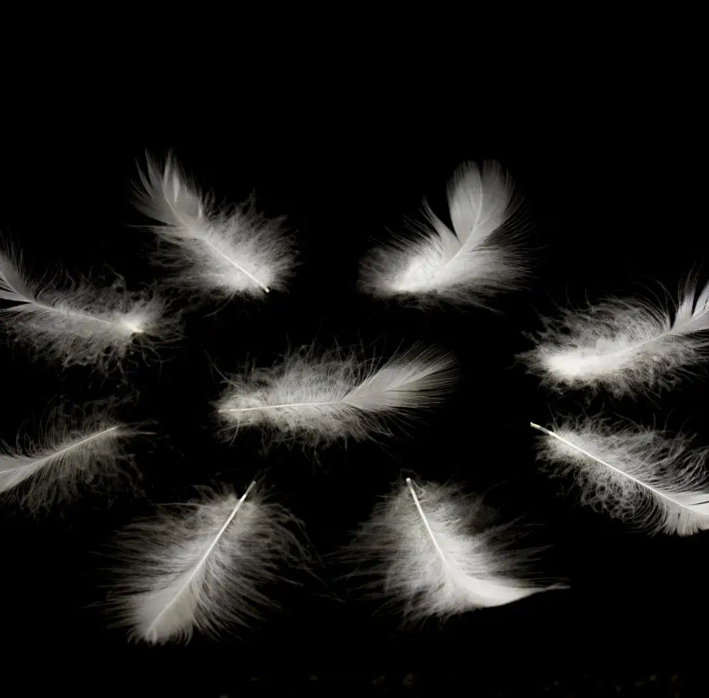 Washed grey duck down feather 2-8 cm for quilt,  pillow made in Vietnam