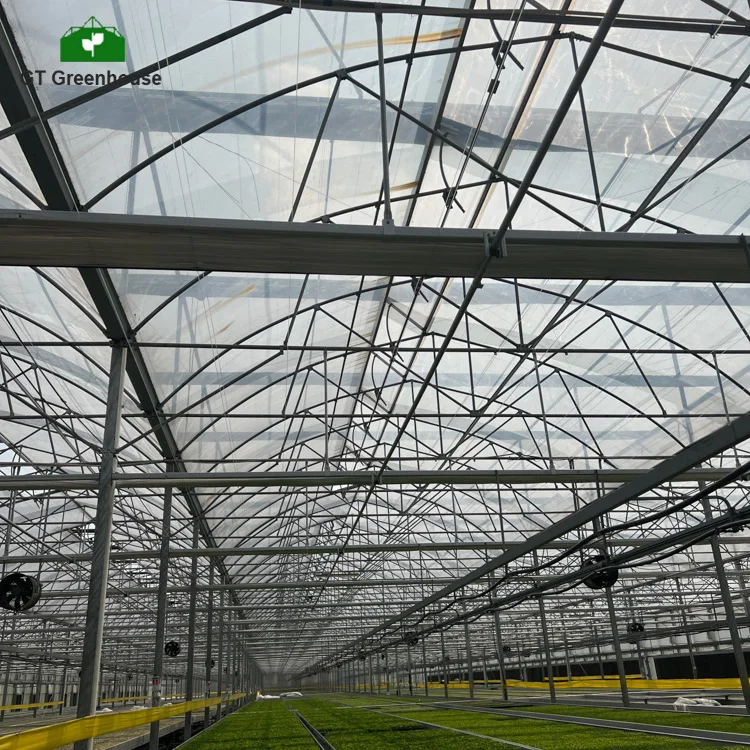 Low Cost Passive Solar Light Deprivation Cooling System Multi-span Tomato Greenhouses