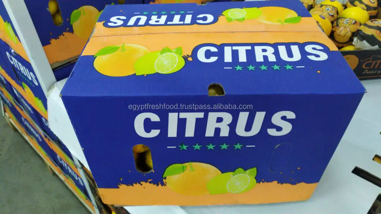 
Best quality Citrus from Egypt , Fresh crop , mandarin 