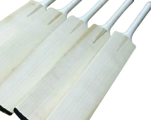 english willow cricket bat