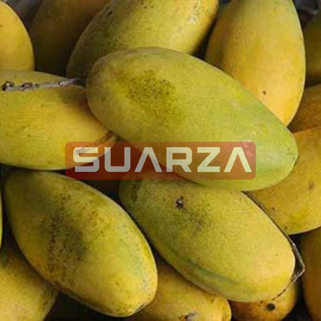 EU quality approved Fresh mangoes of different variety/ Fresh nutritious Mango  for Sale/fresh mango manufacturer