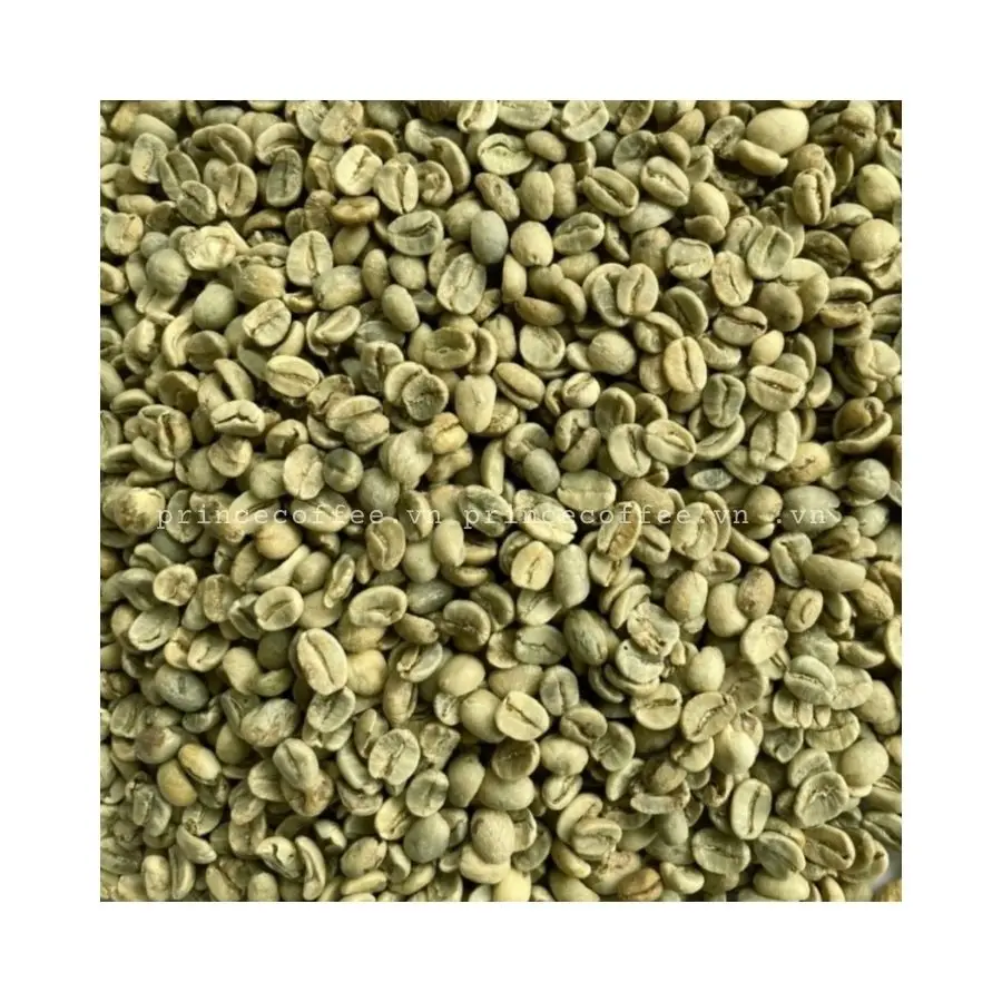 
 Бесплатный образец, зеленый кофе в зернах, оптовая продажа, зеленый кофе в зернах Arabica, вьетнамский производитель  