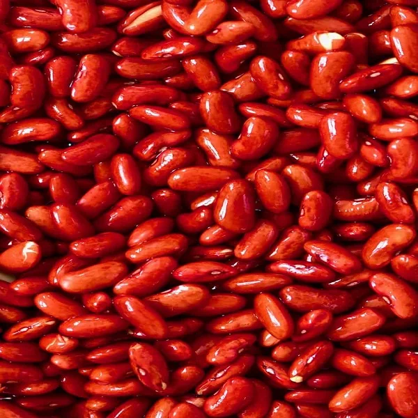 
red common beans  (1700007382502)