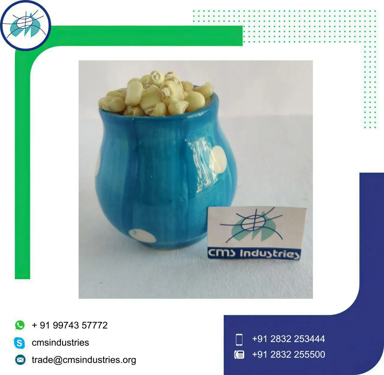 Animal Feed  Naturally Extract White Corn