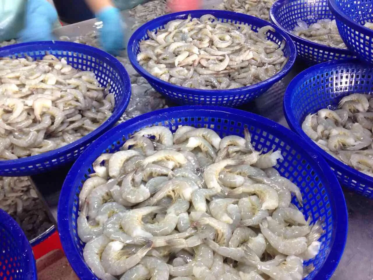 Лучшие цены замороженные ПТО IQF очищенные и креветки Vannamei Penaeus