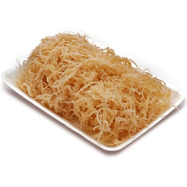 Гель SEAMOSS сушеный ирландский морской мох по лучшей цене от VIET NAM/