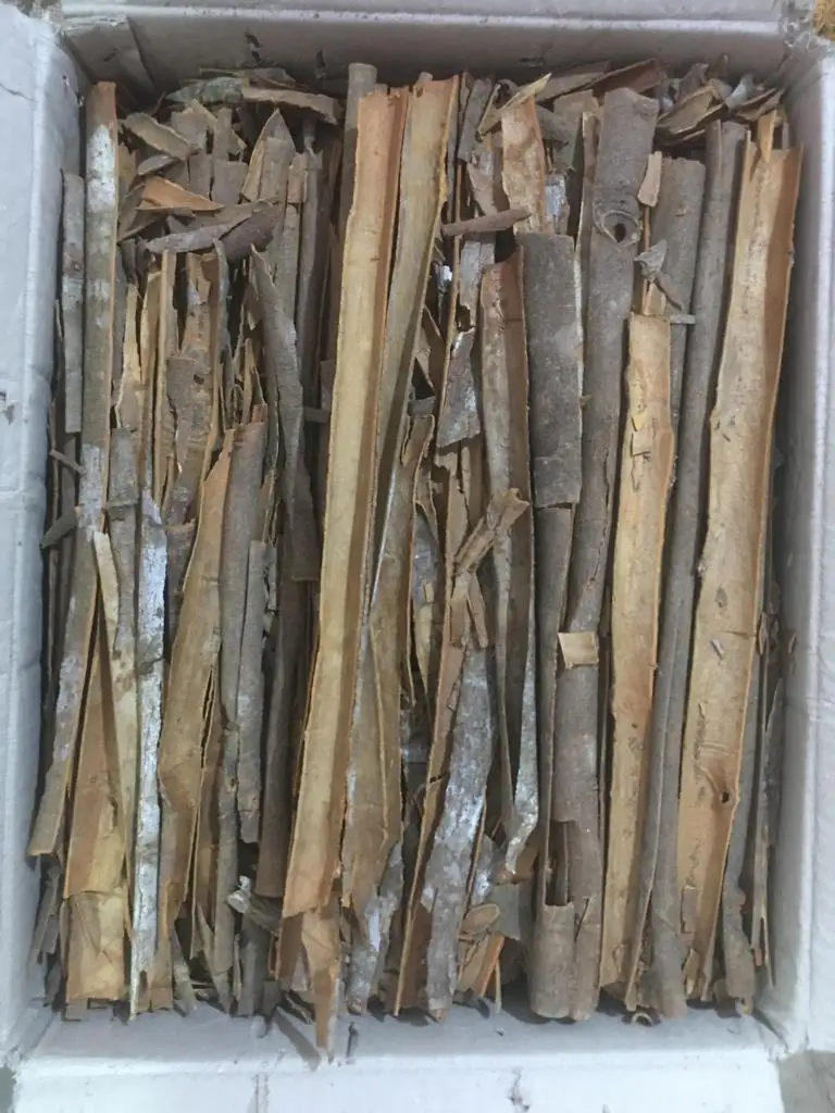 Wholesale High quality healthy food top Natural Brown Split Cassia Cinnamon / Cinnamon Stick traditional spices from India