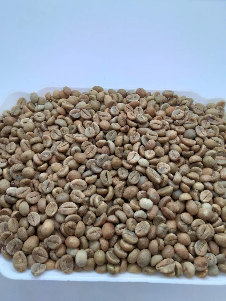 Wholesale Coffee Beans Arabica Roasted Green Beans Coffee Green Coffee Beans Vietnam
