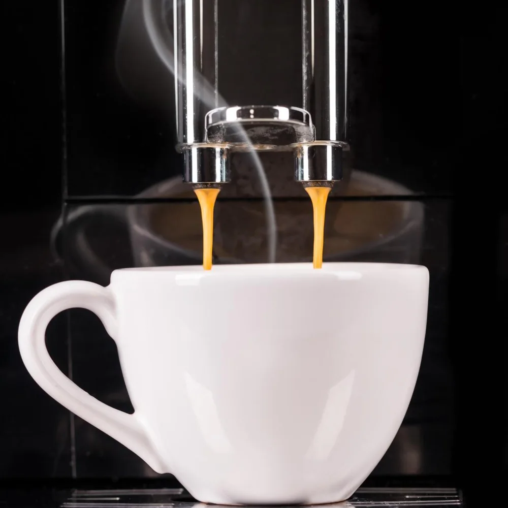 Premium quality Castorino Italian Coffee NESPRESSO Compatible 1 box GOLD ARABICA and 1 box DECAFFEINATED for home / HO.RE.CA.