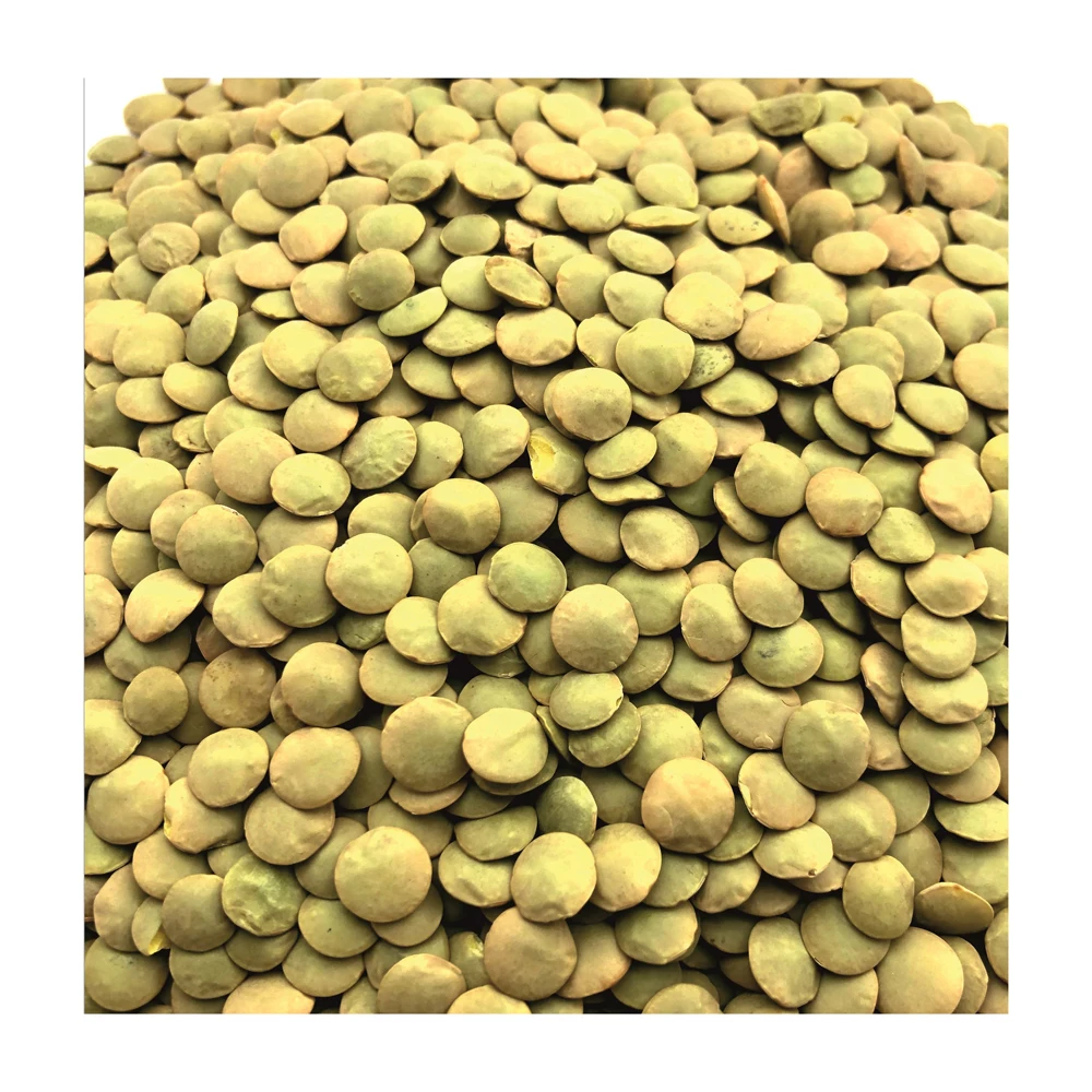 Premium quality whole lentils in bulk, in stock