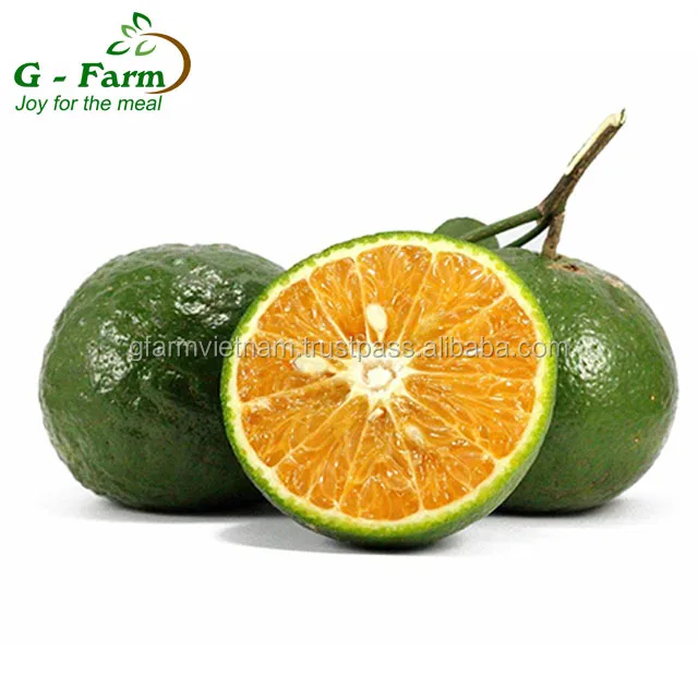 
Fresh orange with high quality and taste sweet, succulent 