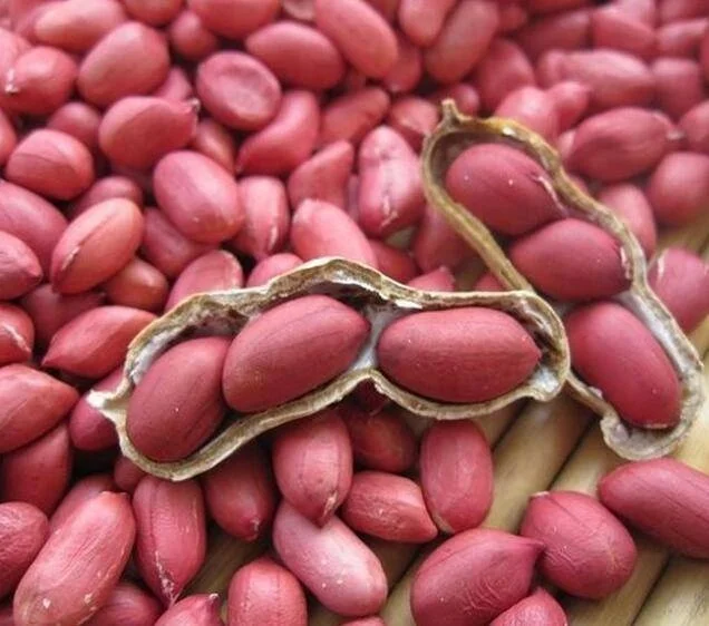 
High Quality peanuts prices 1kg raw blanched price roasted peanut blanched peanuts 
