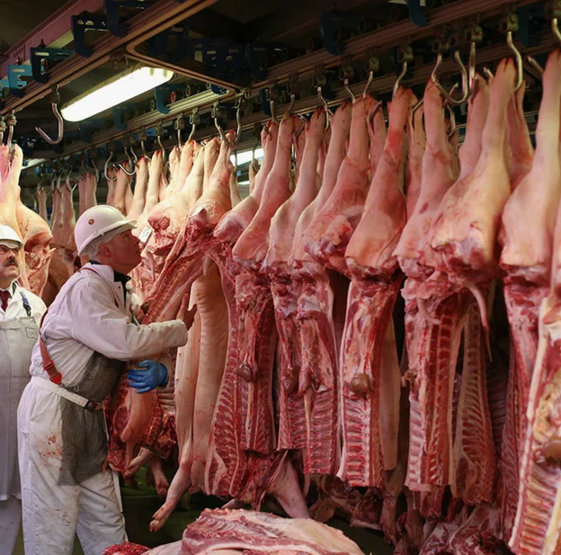 
Approved Export QUALITY AND CLEAN FROZEN PORK / TAILS / RIBS AND LEGS 