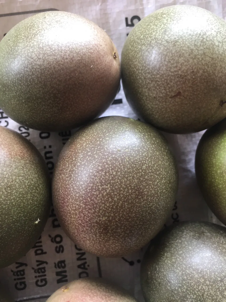 Высококачественный концентрат страсти без семян в бутылке оптовая продажа +