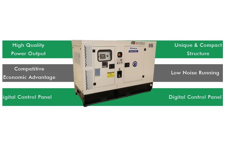 Большой спрос P60E трехступенчатый бесшумный дизельный генератор 60 кВА с защитой от коррозии