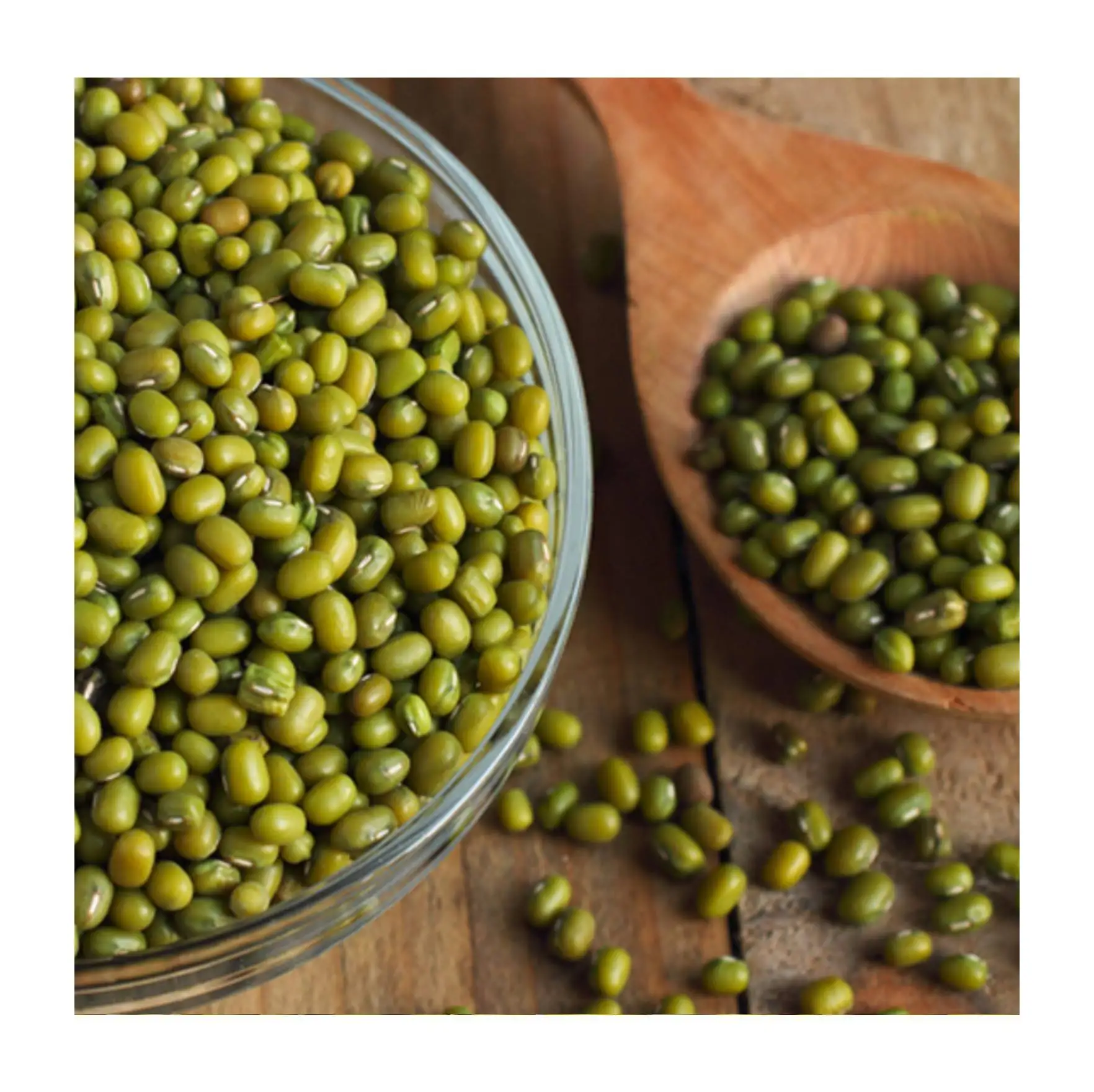 Good quality mung bean for sprouting for export mung bean from Uzbekistan manufacturer factory price