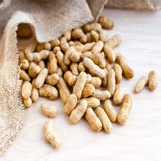 
Peanut in shell from Uzbekistan 