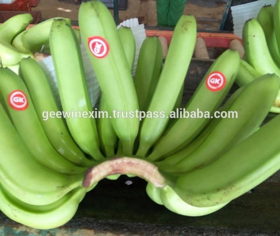 FRESH FRUIT BANANA