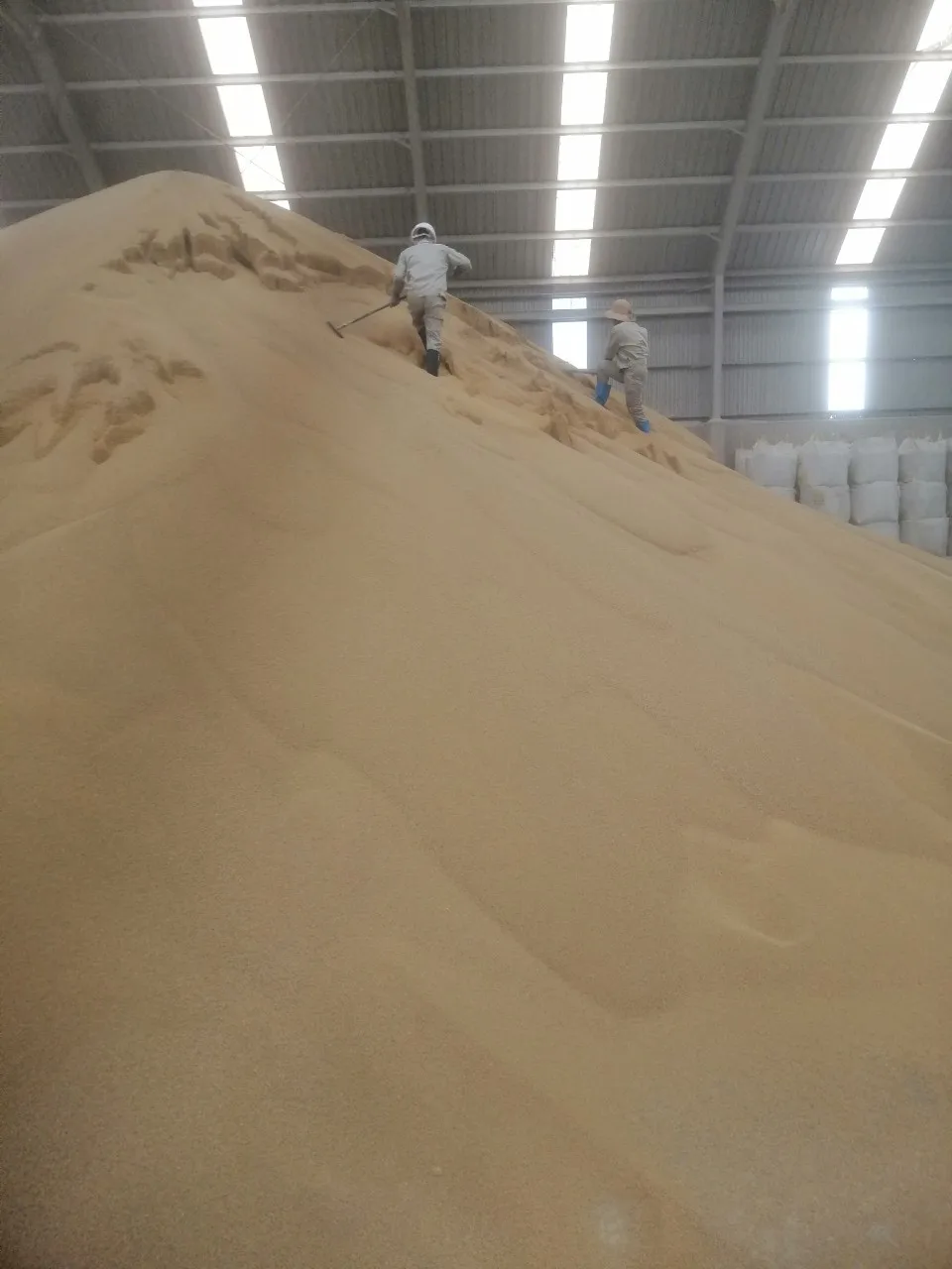 Азотное удобрение DAP 15% P2O5 45% от вьетнамского производителя