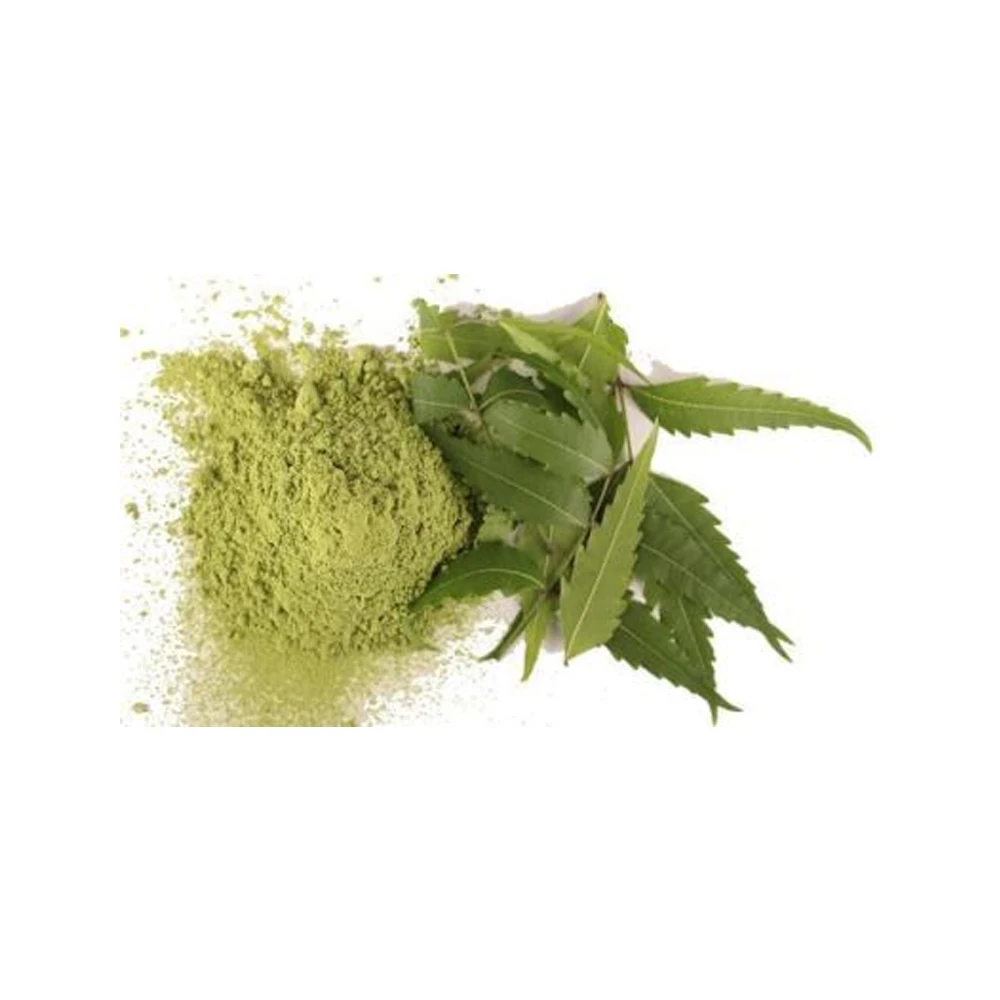 Best Quality Pure Neem Leaves Powder For Ayurvedic Medicine Buy at Less Competitive Price