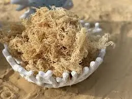 100% сушеный солнцем // сырой морской 1 /// Ms Sofia + 84 789 946 878