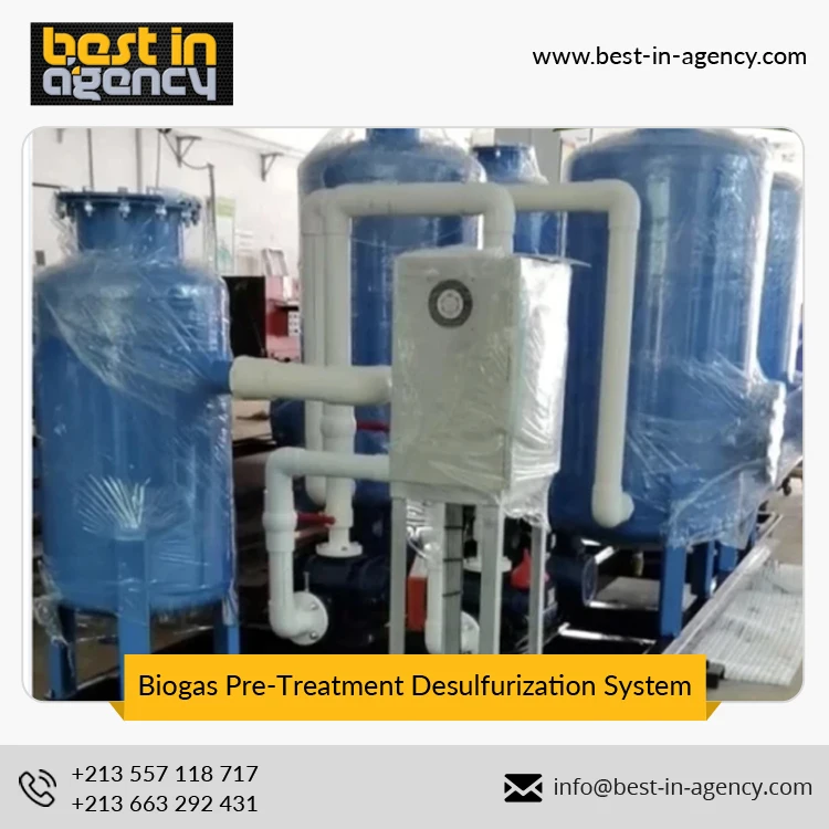 Advanced Technology Skid Mounted Comprehensive Biogas Pre-Treatment Desulfurization System Before Generator