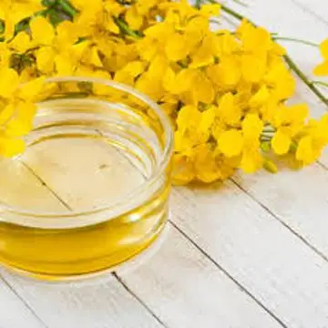 WHOLESALE south africa Canola Oil for Sale