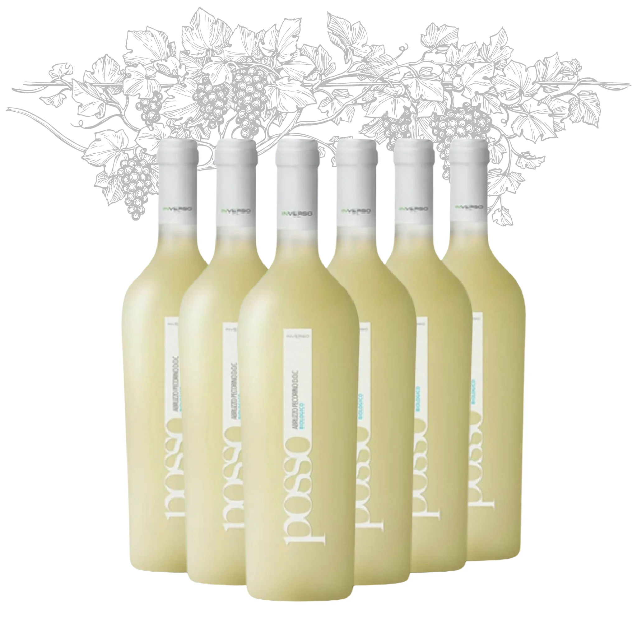 Premium Made in Italy White Wine Pecorino DOC Organic Posso White Table Wine bottles 750 ml alcohol 13% for export