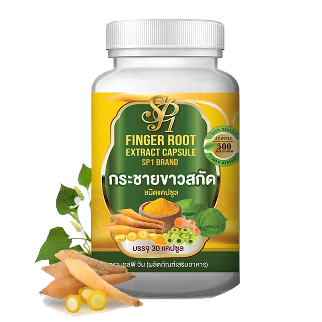 
Figer Root Extract Capsule product of Thailand 