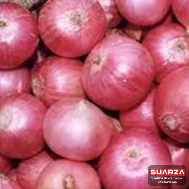 Seasonal   Red shallot Onion for Dubai market/ best quality cheap price onion /   Red Onion Exporter