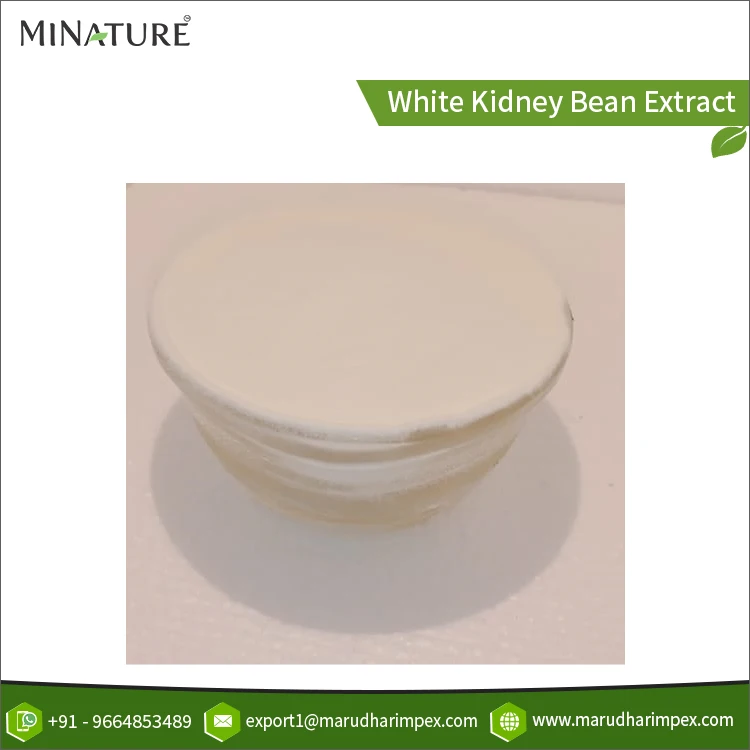 High Quality Wholesale Selling White Kidney Bean Extract Powder from Top Listed Indian Exporter