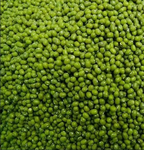 Оптовая продажа бобов мунг для продажи оптом