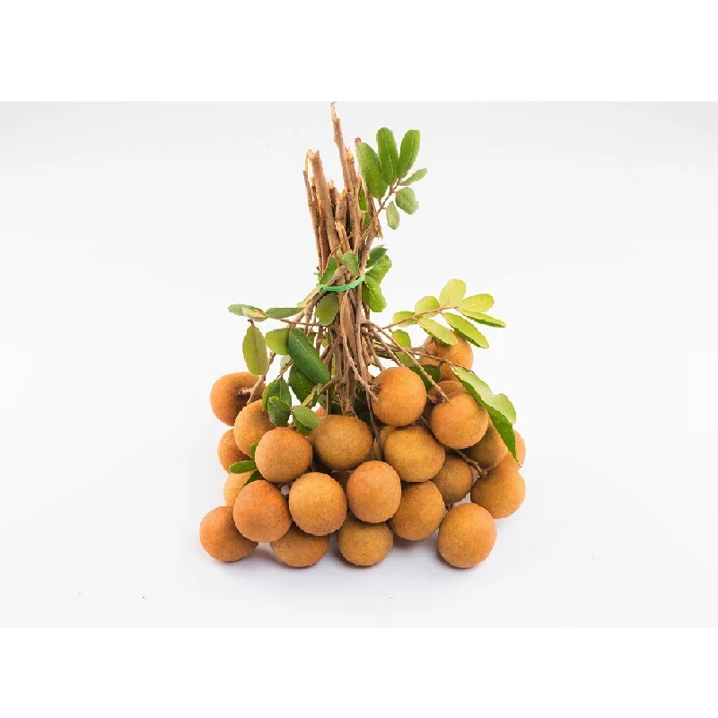 High Grade Fresh Fruit Can Tho Agriculture Sweet Taste >24.5MM Vietnam Longan In Carton Box Packaging
