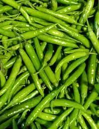 Индийский острый зеленый чили экспортного качества