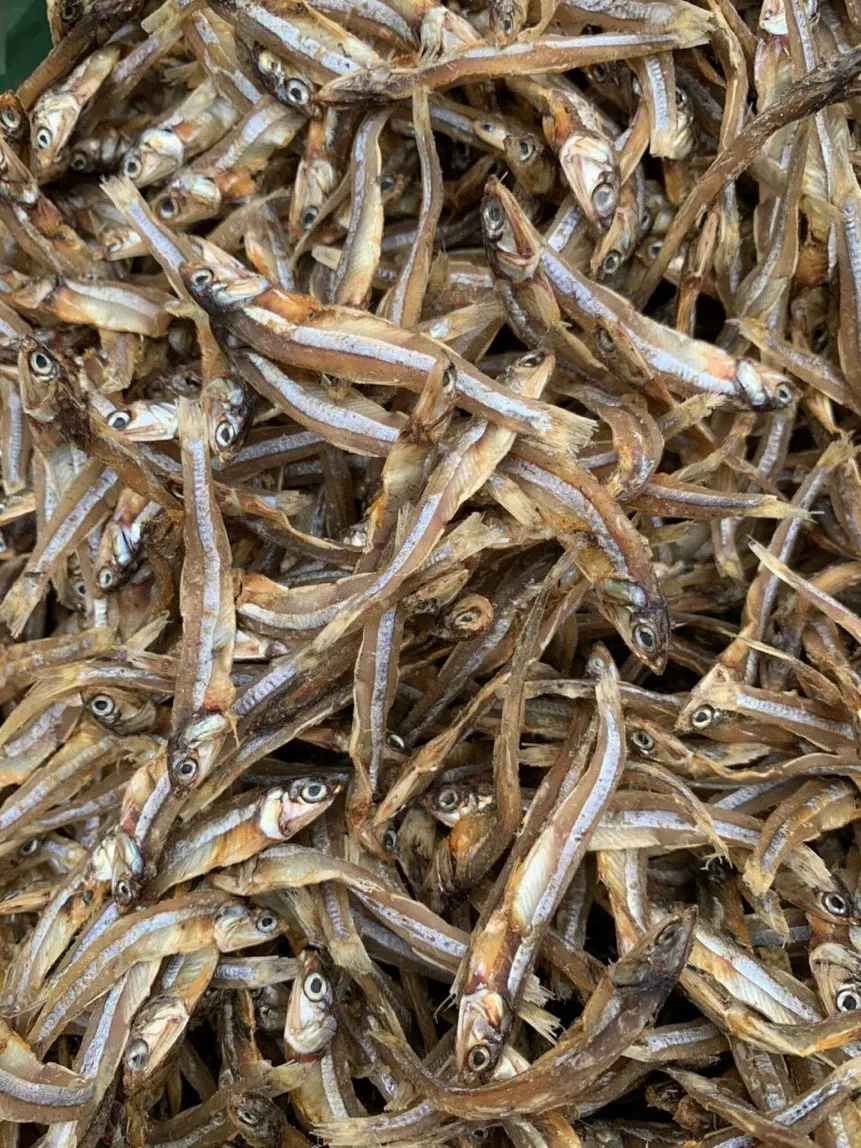 Wholesale Dried Anchovy Fish in Vietnam 2021