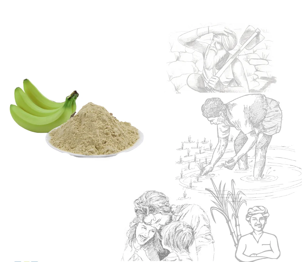 Органическая зеленая Банановая мука