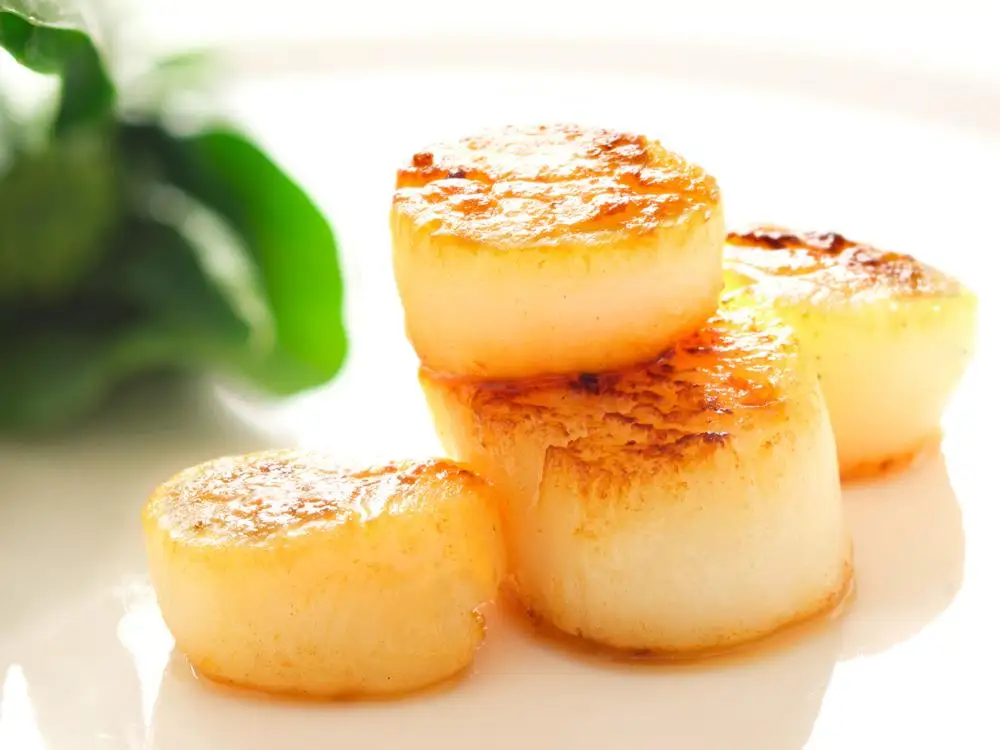 Frozen scallop