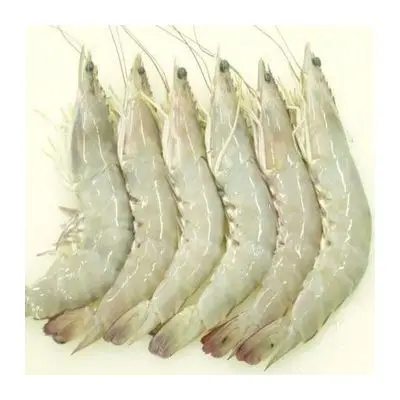 Vannamei Shrimp3.jpg