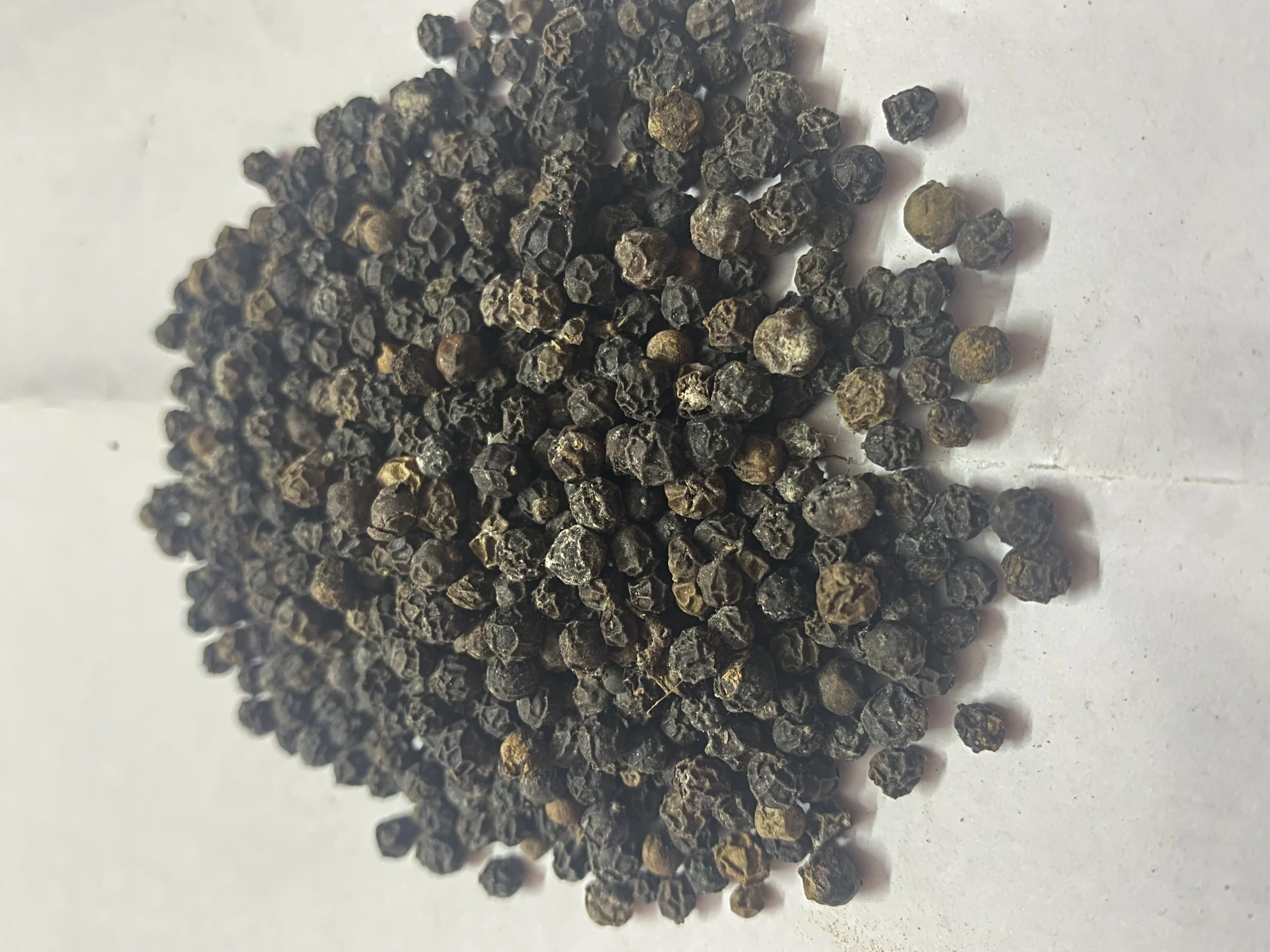 Black pepper best price india