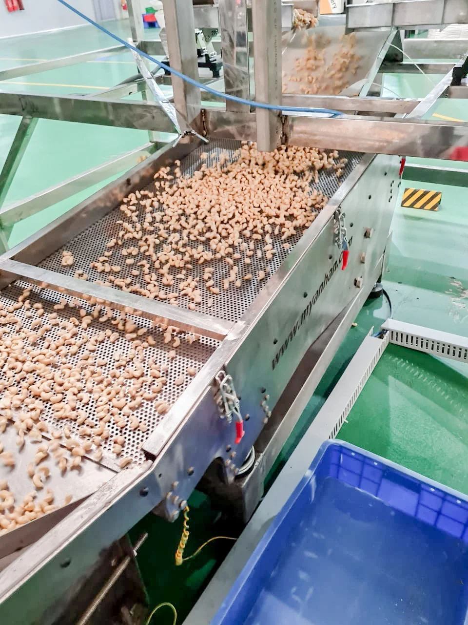 Best Selling Cashew nut processing machine line cashew nut machine made in Viet Nam