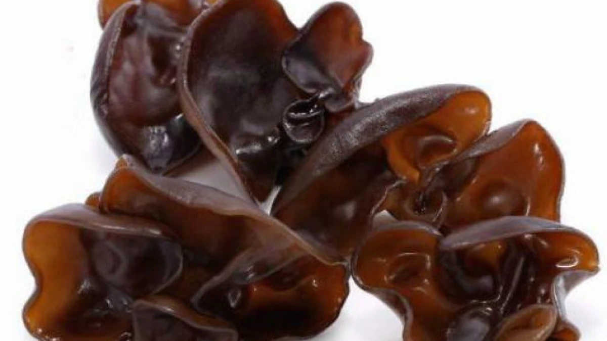 
Dried Mushroom/black fungus/Linhzhi Mushroom whole/sliced from Vikafoods (+84983028718) 