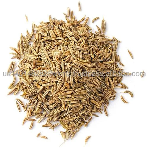 LOW PRICE FOR INDIAN SPICES CUMIN SEEDS JEERA SEEDS INDIA