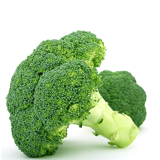 Fresh Broccoli /Cheap price and quick response with high quality and carefully packaged