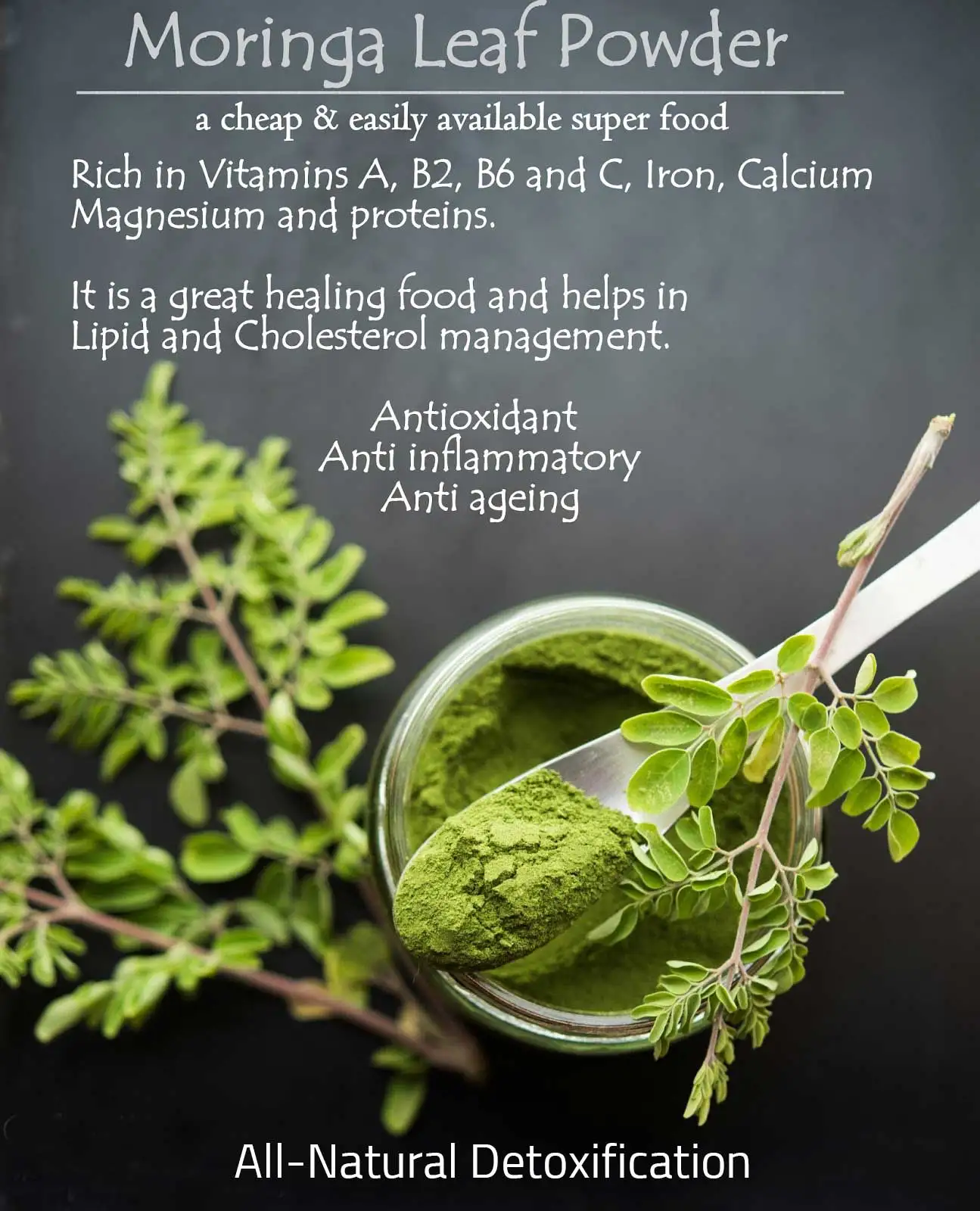 Moringa Leaf Powder Superfood Supplement Bulk Supply Healthcare Supply | Bulk Supply | Leaf Powder