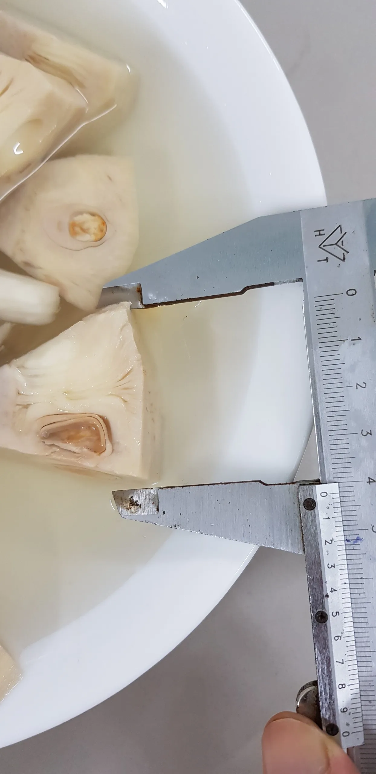 Young green jackfruit canned in brine / young green jack fruit preserve vegan- Vietnam jackfruit